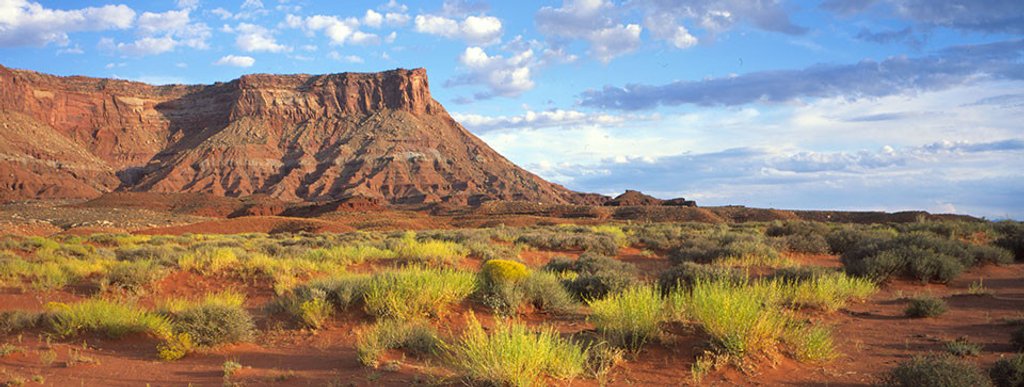 CanyonLands National Park.